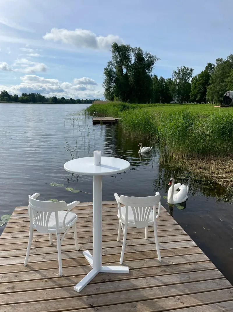 Laipa ar galdiņu un gulbjiem